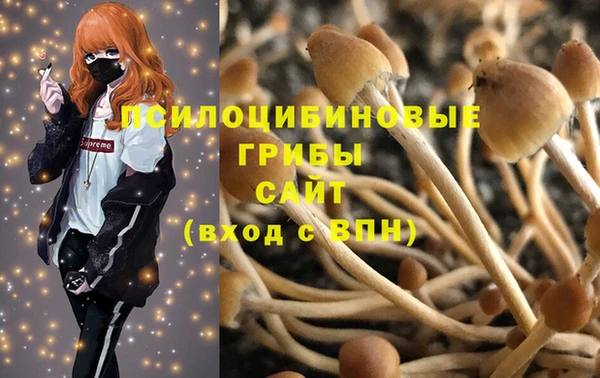 ALPHA-PVP Горнозаводск