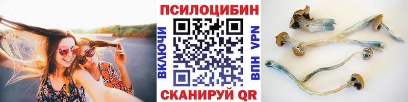 Купить закладки  Уржум  Псилоцибиновые грибы Magic Shrooms 